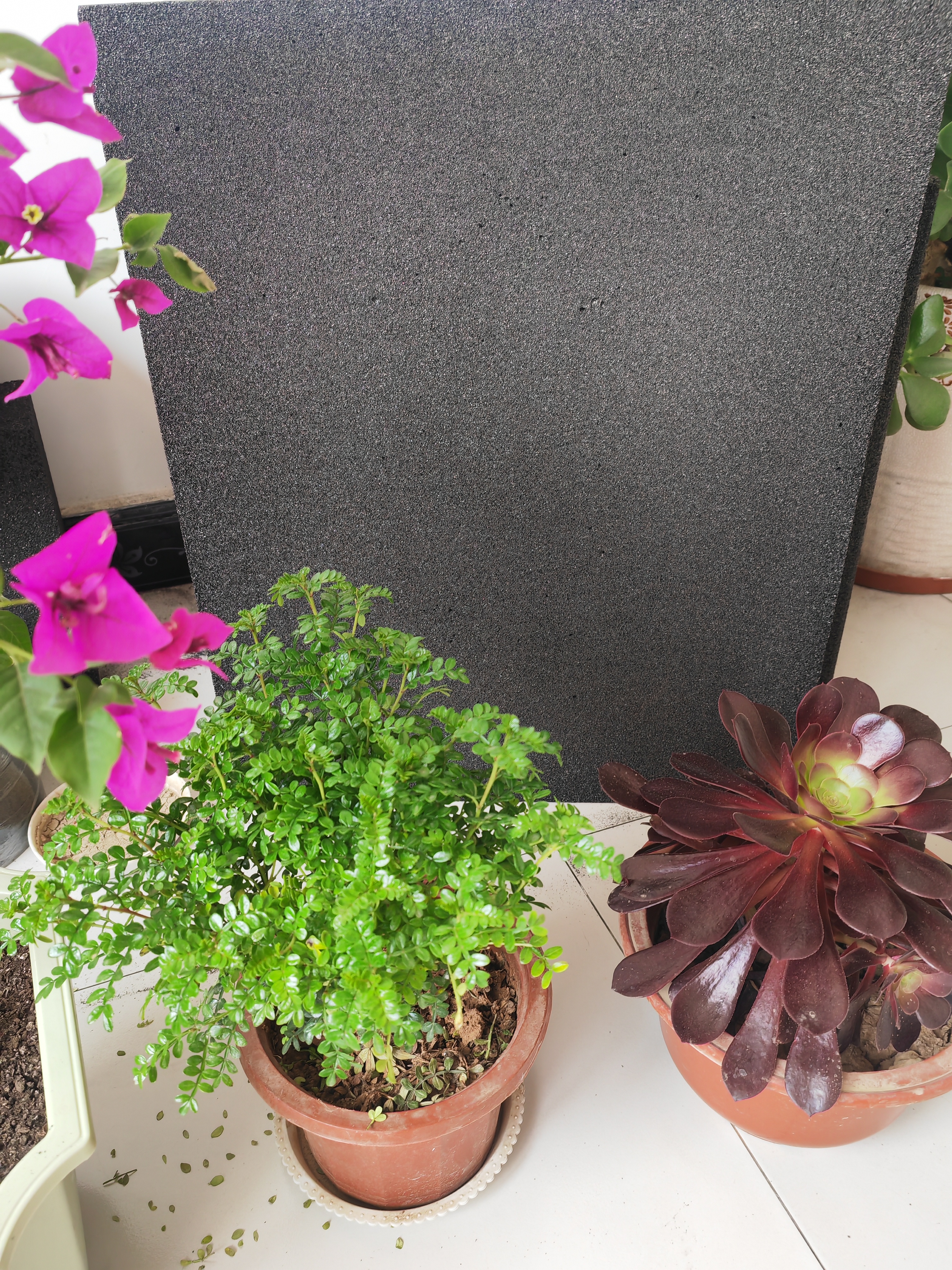 泡沫玻璃保溫板